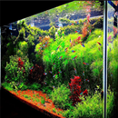 aquascape entwerfen APK