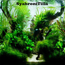 Aquascape Design Ideas APK
