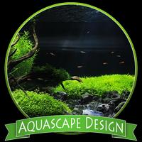 Aquascape Design Ideas Affiche