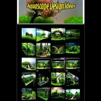 Aquascape Design Ideas Ekran Görüntüsü 1