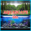 Aquascape Idea