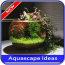 Aquascape Ideas APK
