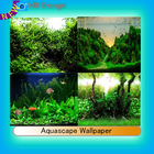 Aquascape Wallpaper biểu tượng