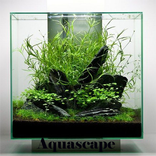 Aquascape
