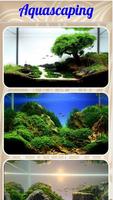 Aquascaping Plakat