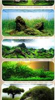 Aquascaping скриншот 3