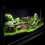 Ideas del acuario 2017 icono