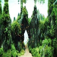 Aquarium Ideas 2017 পোস্টার