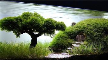Aquarium Ideas 2017 স্ক্রিনশট 1