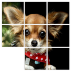 Puppy Puzzle simgesi