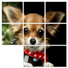 Puppy Puzzle آئیکن