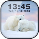白 くま の 壁紙 アプリ APK