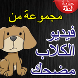 فيديو الكلاب مضحك icono