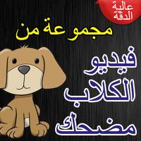 فيديو الكلاب مضحك penulis hantaran