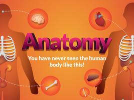 Arloon Anatomy Plakat