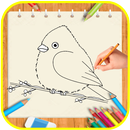 How to draw Birds  Step By Step APK