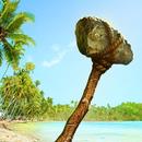 Survival Island APK