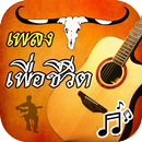 เพลงเพื่อชีวิต เพราะๆ ซึ้งๆ APK