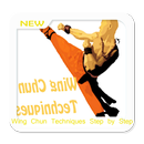 Técnicas de Wing Chun paso a paso APK