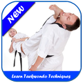 Learn Taekwondo Techniques