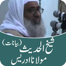 Maulana Idrees Sahab Bayanat APK