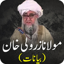 Maulana Zarwali Khan Bayanat APK