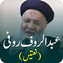 Abdul Rauf Roofi Naats APK