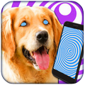 Hypnosis for Dogs Trance Simulator