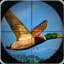 APK Birds Hunting Target Game