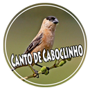 Canto de Caboclinho Offline aplikacja