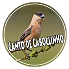 Canto de Caboclinho Offline أيقونة