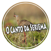 O Canto da Seriema