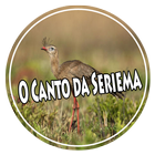 O Canto da Seriema ikona