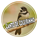 Mp3 Canto de Coleirinho aplikacja