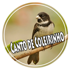 Mp3 Canto de Coleirinho simgesi