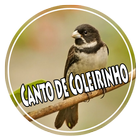 آیکون‌ Mp3 Canto de Coleirinho