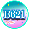 B621 Selfie Face Camera Editor