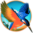 King-Fisher Adventure