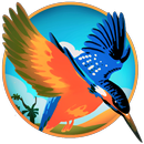 King-Fisher Adventure APK