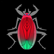 Bug Fry - electrocute and kill