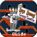 Guide Bugs Bunny Crazy Castle APK