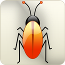 Bugs On Screen APK