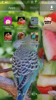 Budgie Wallpapers captura de pantalla 2