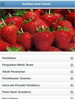 Strawberry Fruit Cultivation captura de pantalla 1