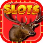 Play Store Slots Win Casino ikona