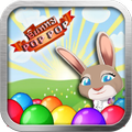 bunny pop pop