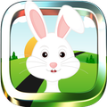 Bunny Run - Runner Game