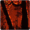 Burning Forest Live Wallpaper APK