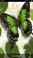 Butterfly Art Live Wallpaper capture d'écran 3