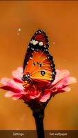 Butterfly Live Wallpaper Magic Touch تصوير الشاشة 3